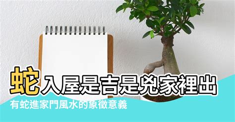 有蛇跑進家裡|風水大師：蛇進家門有什麼預兆，應該怎麼處理呢？